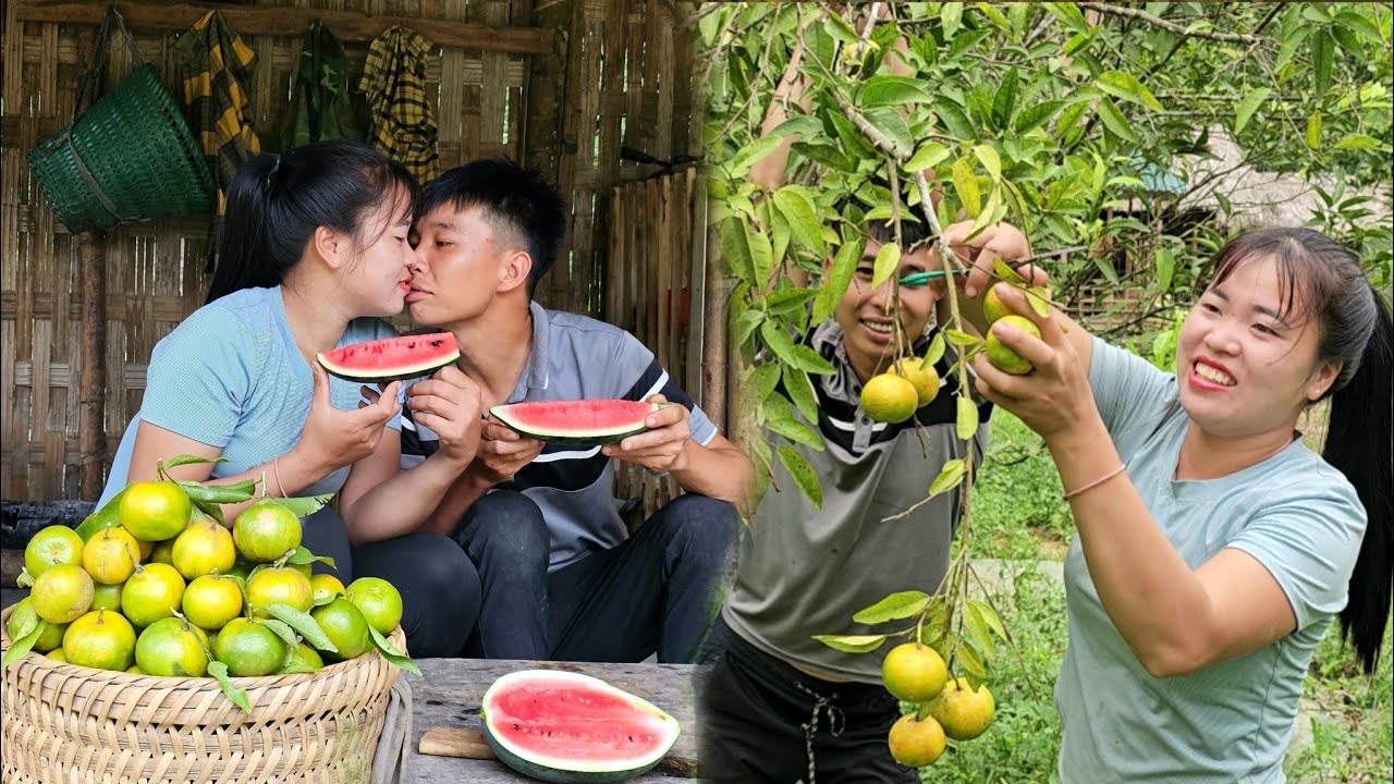 15 days of harvesting agricultural products to sell - Building a life with my husband | Linh's Life