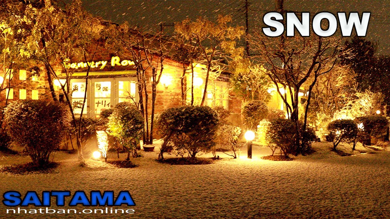 Saitama at the SNOW day in winter | #4k #japan #snow | Explore Japan