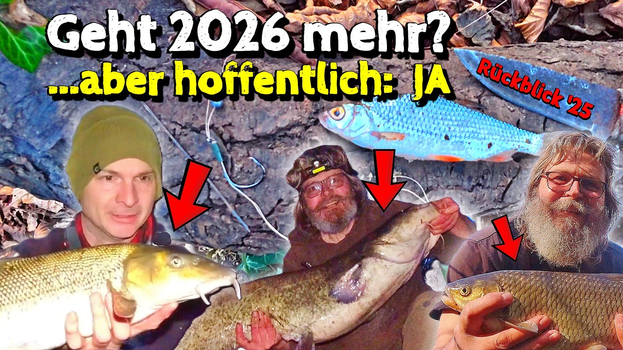 Angeln auf Zander im Winter mit Köderfisch | Circle Hook mit Schlaufenmontage | Jahresabschluss 2025