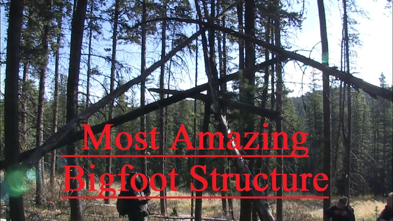 Most Incredible Bigfoot Structure Ever! Sasquatch outsmart Researchers