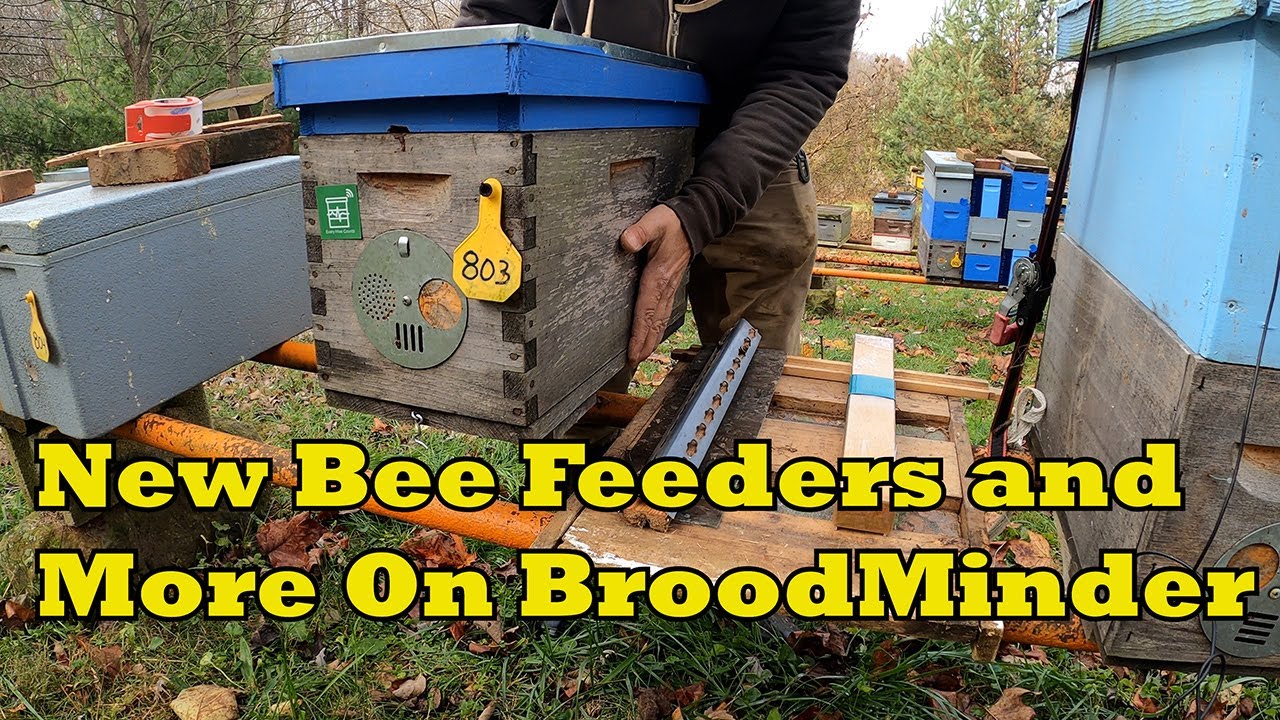 New Bee Feeders & More On BroodMinder