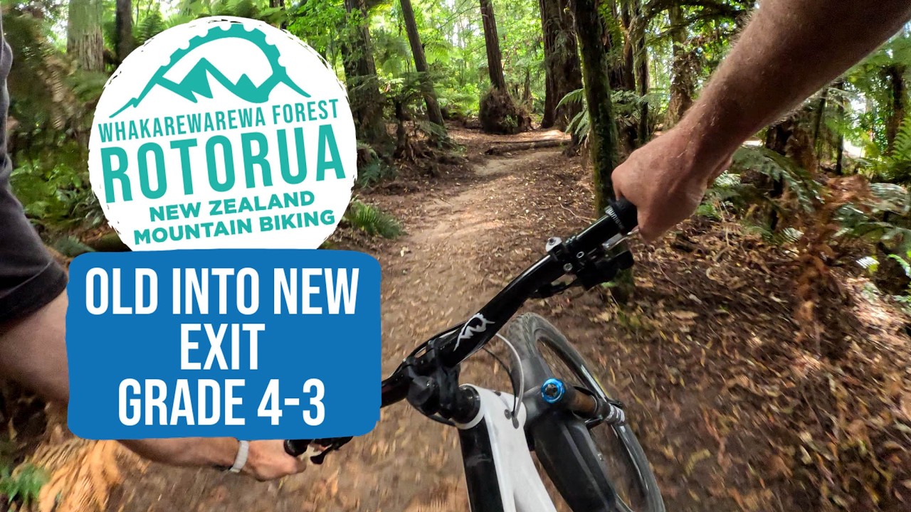 This is The Perfect Link - Old into New Exit Trail, Rotorua