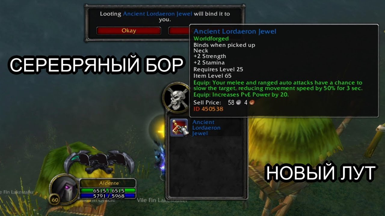 Conquest of Azeroth & Bronzebeard - Новые предметы в открытом мире Серебряный Бор | Ascension WoW