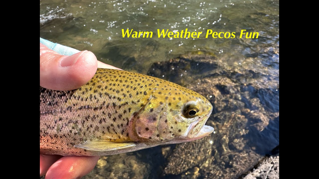 Warm Weather Pecos Fun?