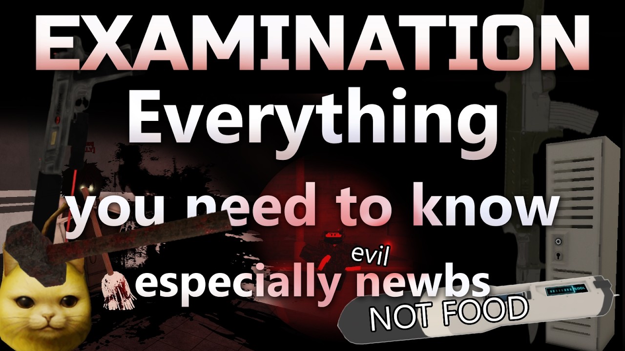 Examination Basic guide