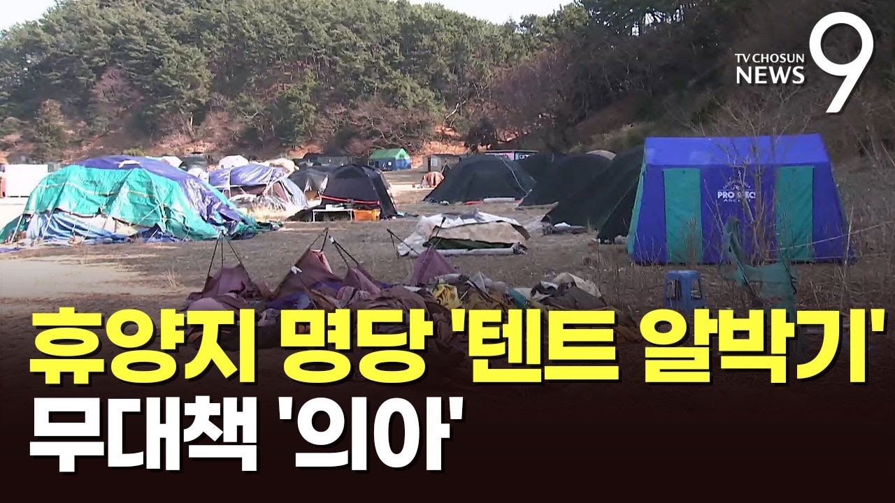 진해 명소 소쿠리섬 점령한 '텐트 알박기'…소유자 확인 안 돼 '골머리' [뉴스9]