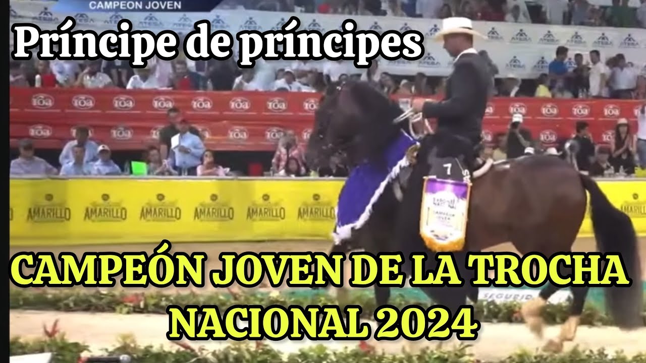 PRÍNCIPE DE PRÍNCIPES campeón joven en la nacional 2024