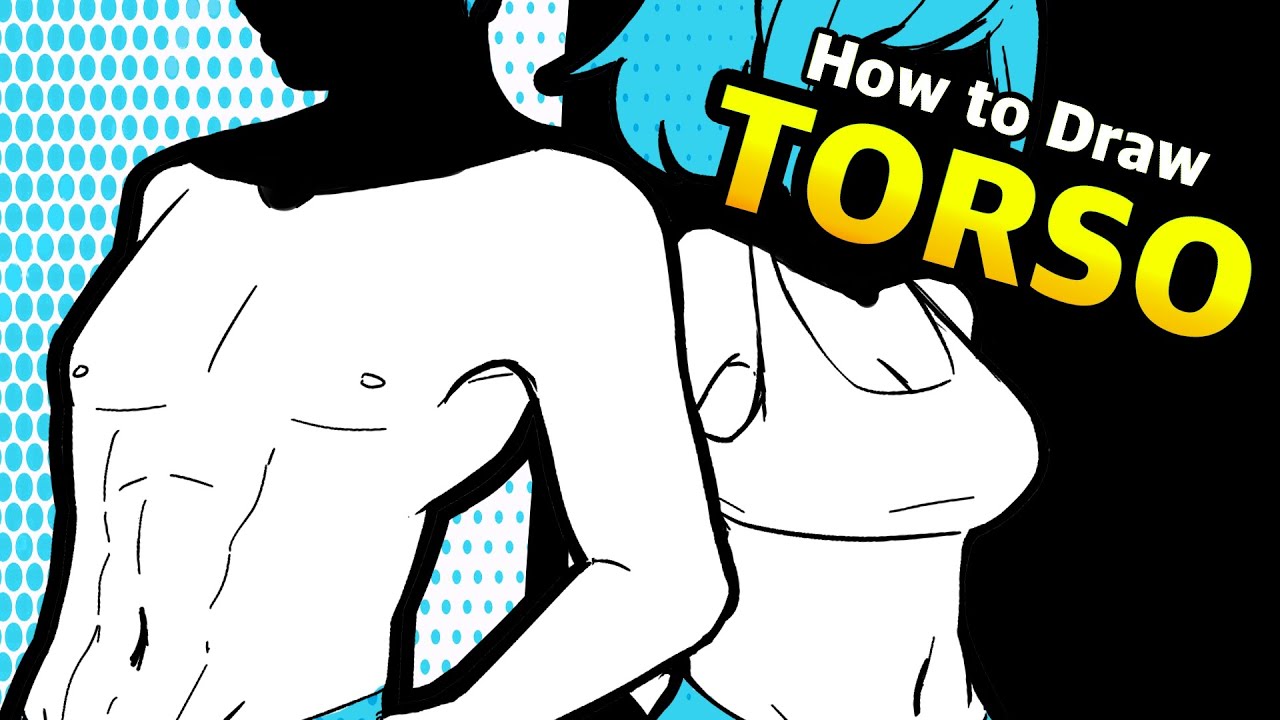 How to draw the BODY - Torso (Anime Manga Tutorial)