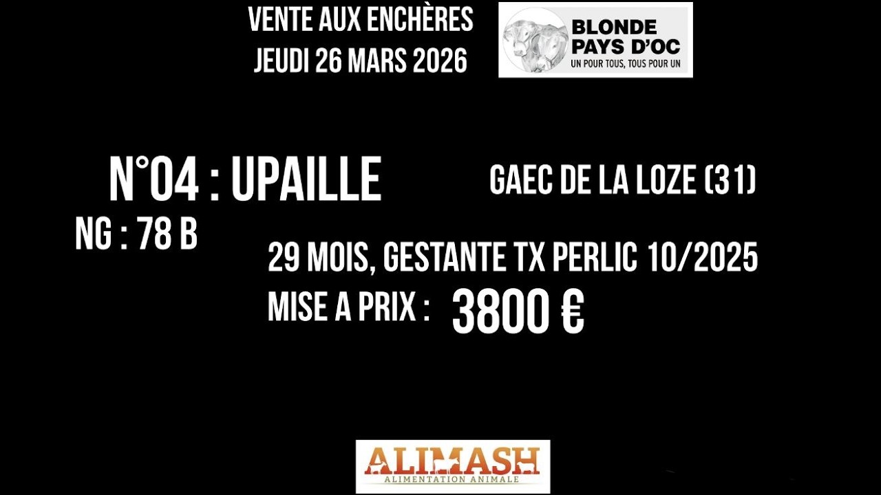 04 UPAILLE   Vente Bexianis 2026   Blonde Pays d'Oc