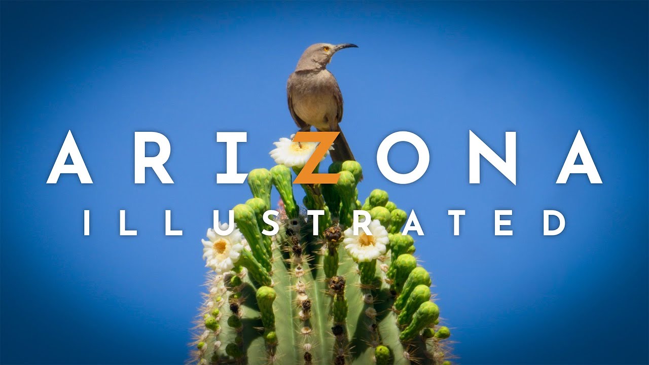 Arizona Illustrated 1213: Baker Center Tour & StoryCorps