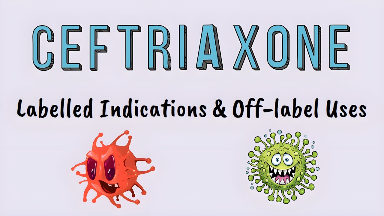 Ceftriaxone | Labelled Indications & Off-label Uses