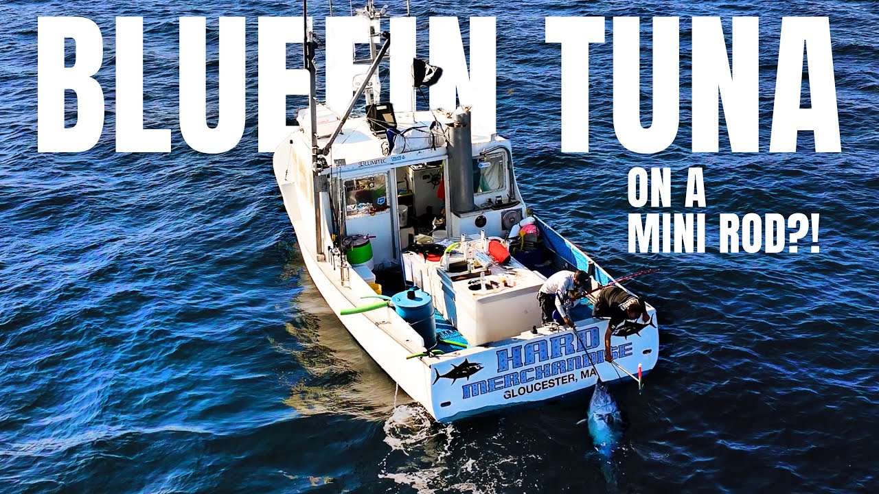 Ловля ОГРОМНОГО голубого тунца на МИНИ-удилище с фирменным товаром Wicked Tuna!