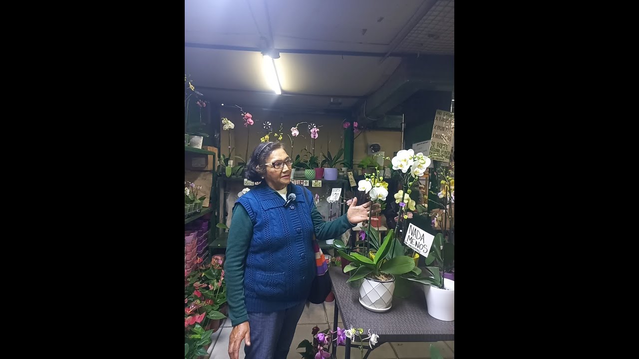 VISITANDO EL MERCADO DE FLORES (ACHO-RÍMAC) EN LIMA PERÚ