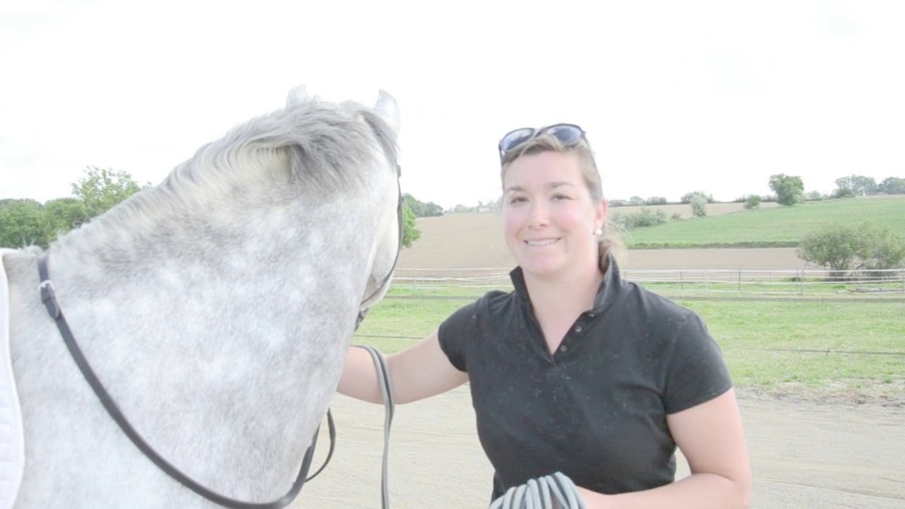 COMMENT REMETTRE SON CHEVAL AU TRAVAIL APRES LE CONFINEMENT