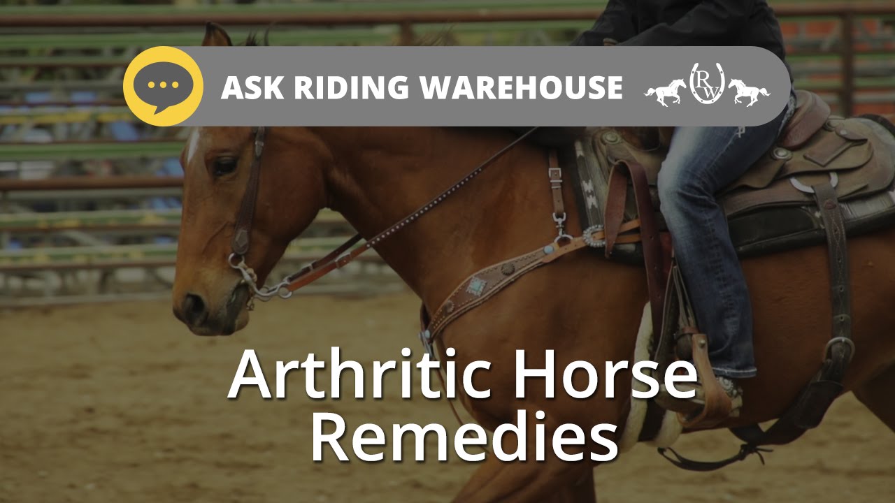 Ask Riding Warehouse: Arthritic Horse Remedies