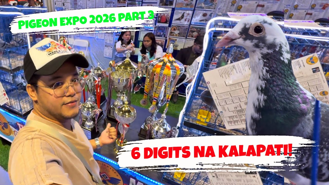 NAGHANAP AKO NG BUDGET MEAL NA KALAPATI! AKALA KO MERON WALA PALA 🤣
