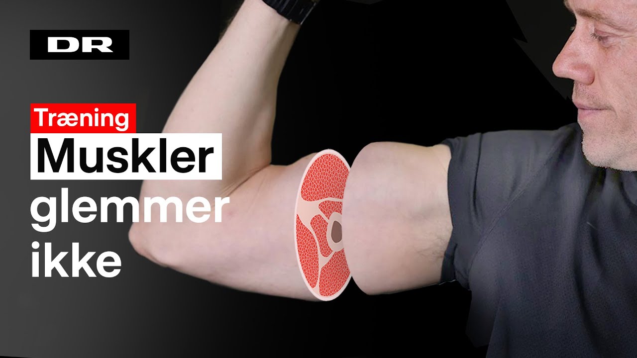 Muscle Memory: Sådan kommer du tilbage i form
