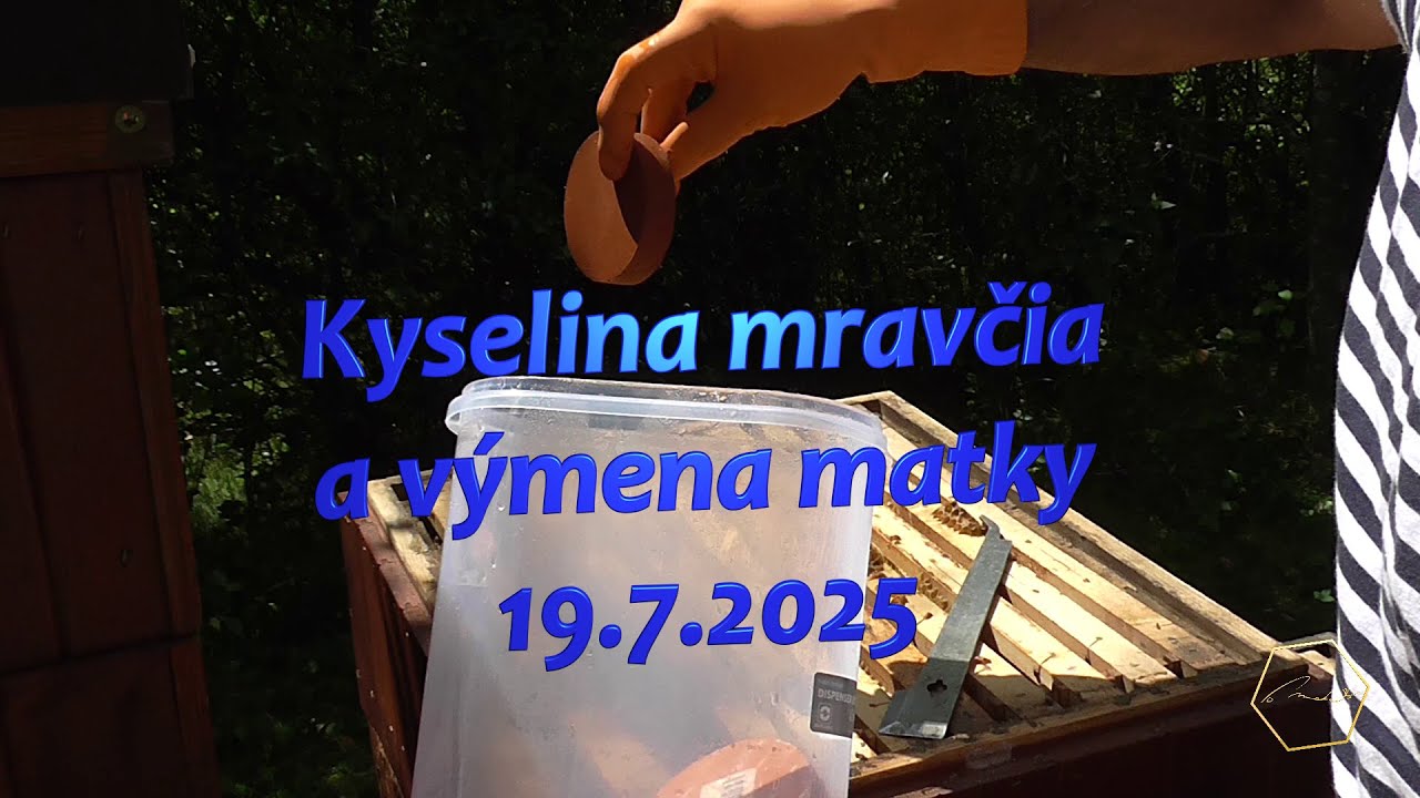 Kyselina mravčia a výmena matky - 9.7.2025