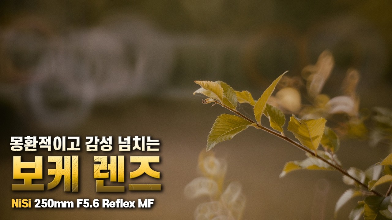 도넛 보케 찍는 방법? 독특한 매력을 가진 반사 망원 렌즈 | NiSi 250mm F5.6 Reflex MF