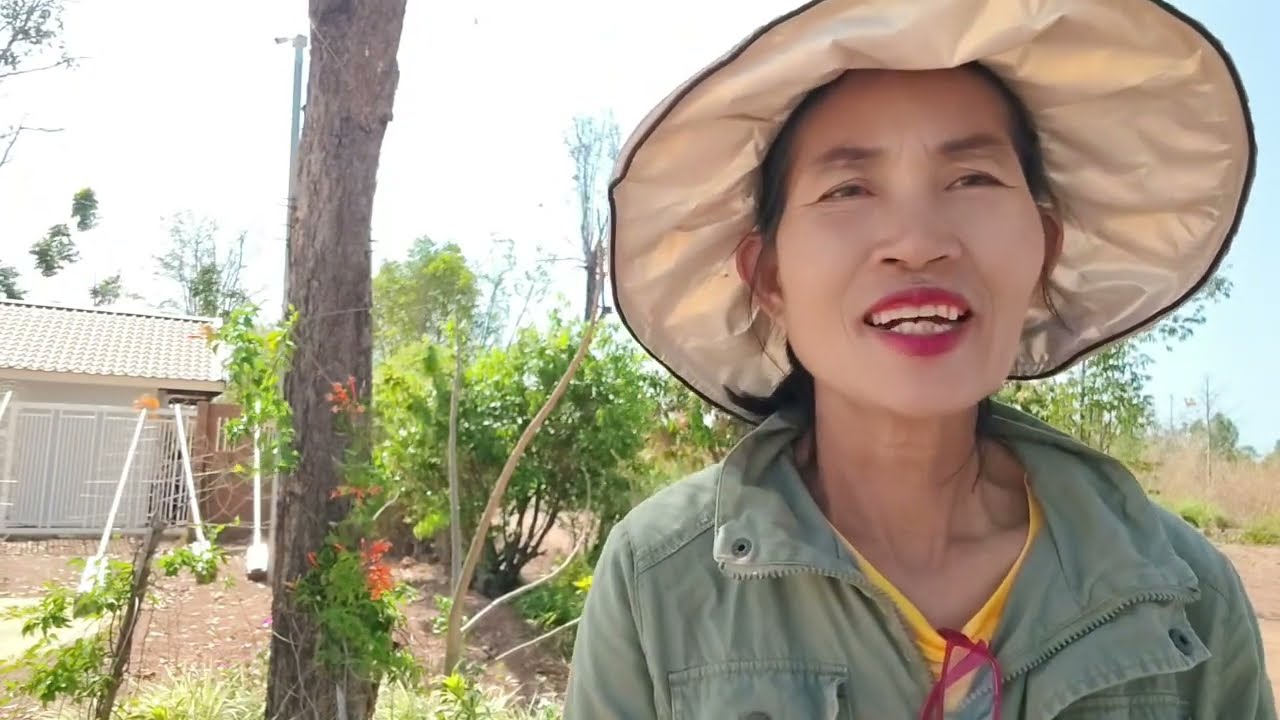 น่าดูแลต้นไม้ดอกไม้ทางด้านหน้าน้ำดานหน้า  เกิดอะไรขึ้นมะม่วงจะหล่นหมดต้นแล้ว