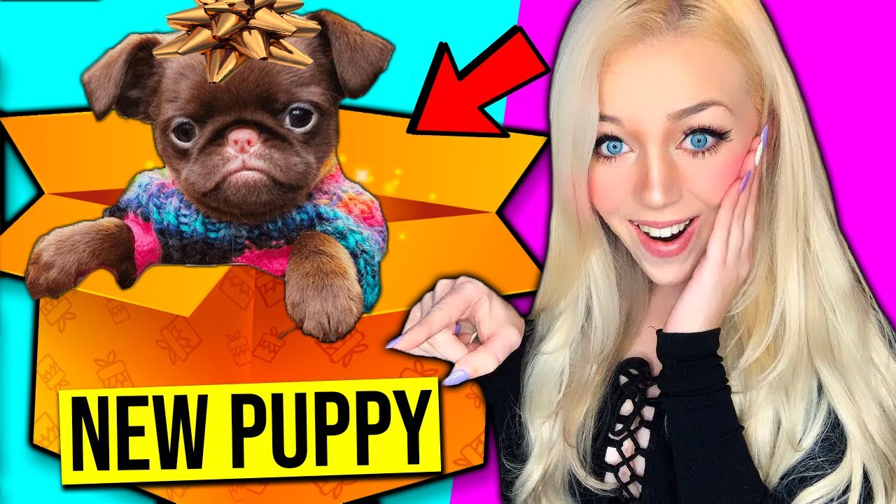 I GOT SURPRISED WITH A NEW PUPPY!! Meeting my Puppy for the First Time EVER! (*CUTE*)