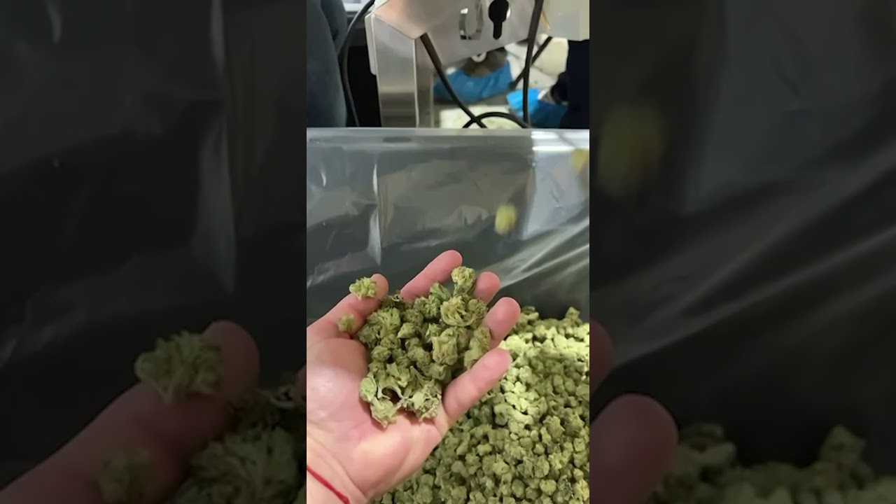Wholesale & Smalls Trimming with the M108S