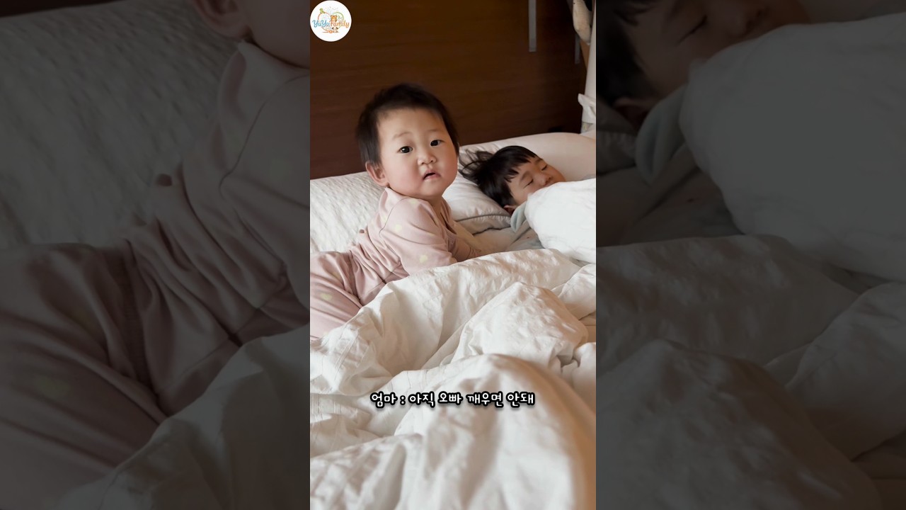 둘찌의 반란 (소소한)