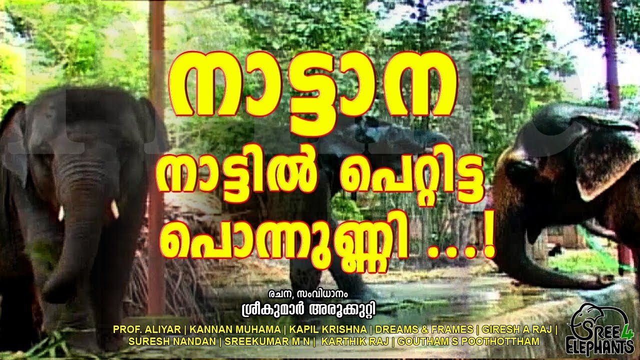 വർഷങ്ങൾക്ക്  ശേഷം കേരളത്തിൽ നടന്ന നാട്ടാനപ്രസവത്തിന്റേയും നായകനായ ആനക്കുരുന്നിന്റെയും വേറിട്ട കഥ..!
