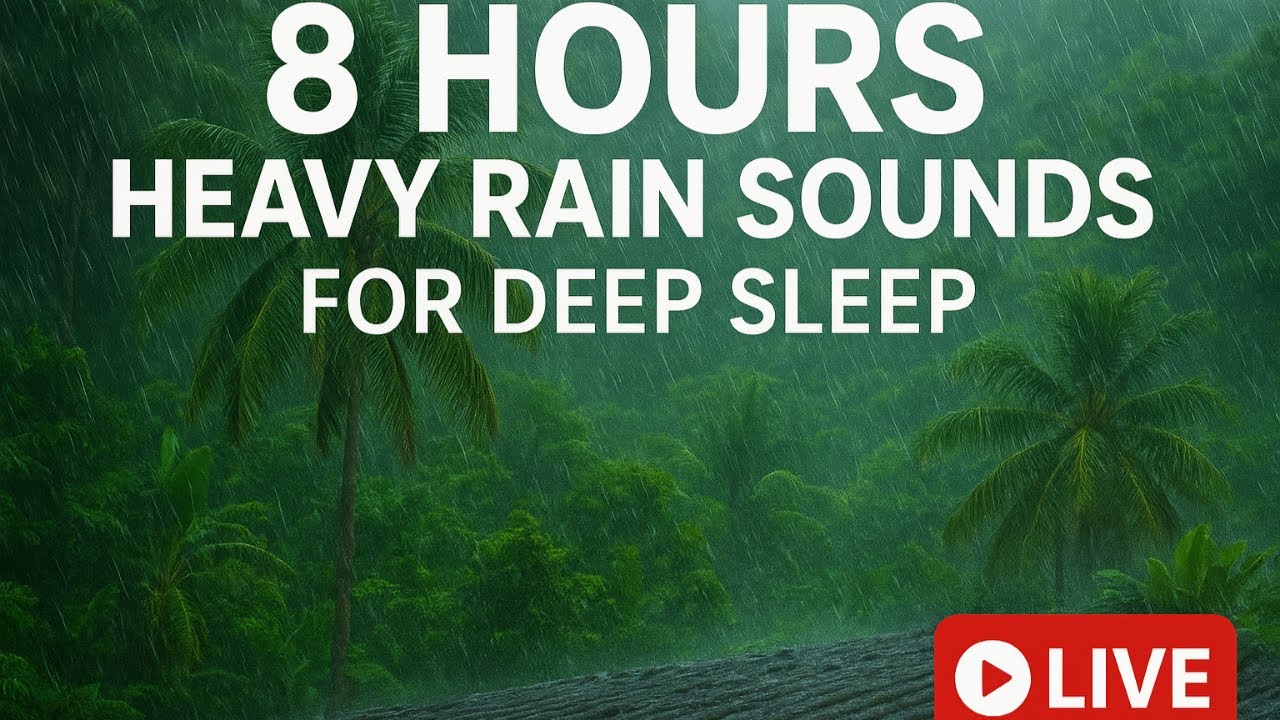 8 Hours Warm Tropical Rainfall for Focus and Study | Calming ASMR Rain Ambience