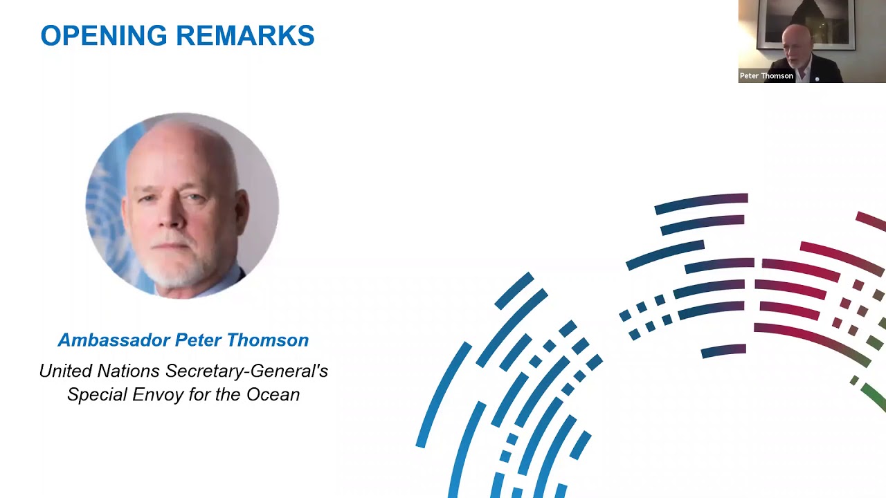 Webinar: Ocean Panel Perspectives: Accelerating the Transition to a Sustainable Ocean Economy