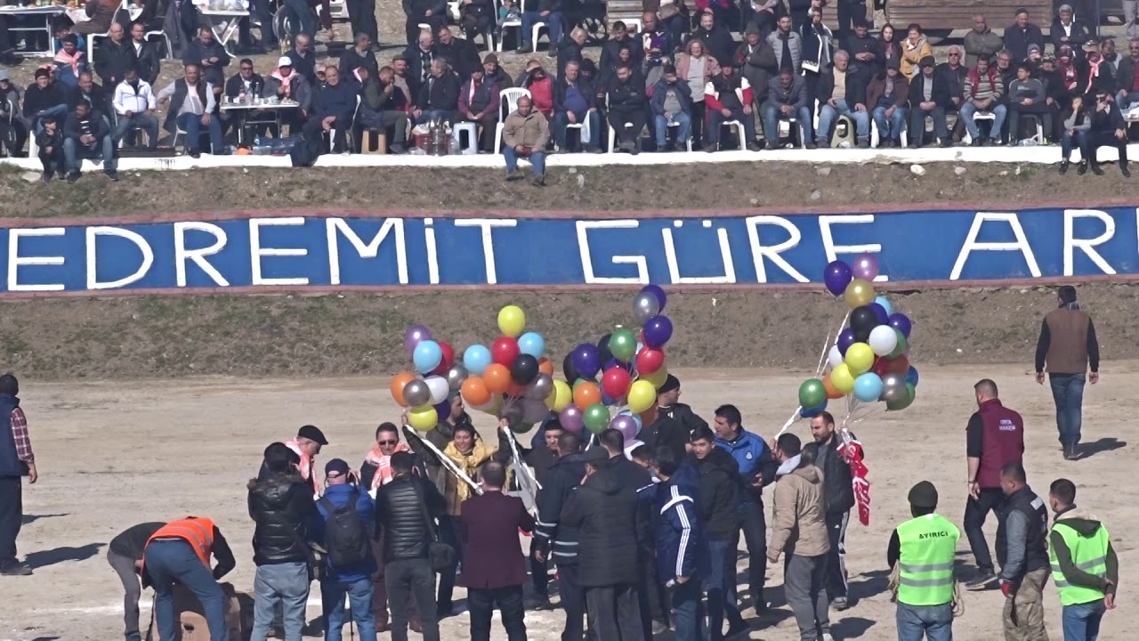 Edremit Deve Güreşleri Açılışı