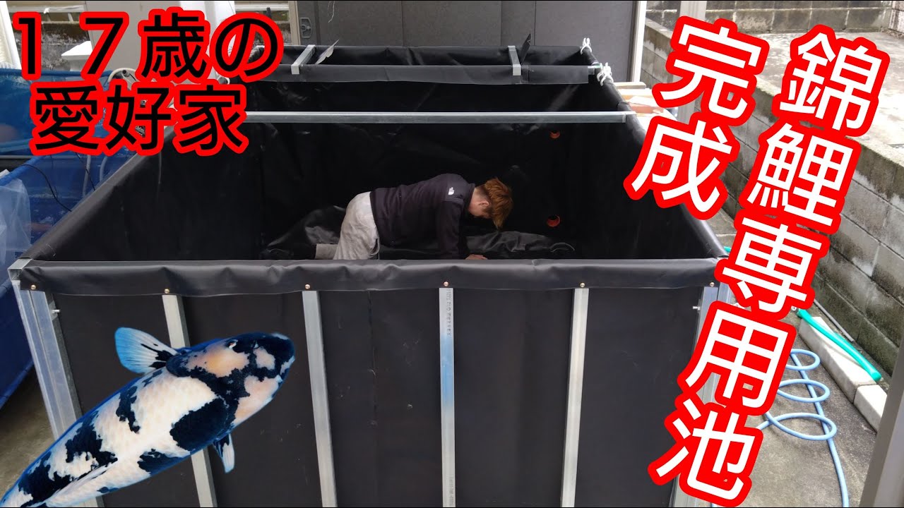 待望の【錦鯉専用池】7㌧ろ過槽付き、新設備が完成！　