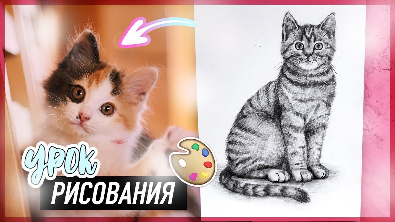 КАК НАУЧИТЬСЯ РИСОВАТЬ КОТА? | Урок Рисования