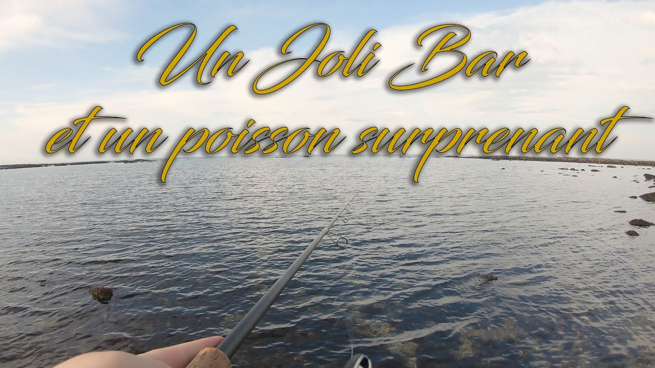 1 bar et 1 poisson surprenant