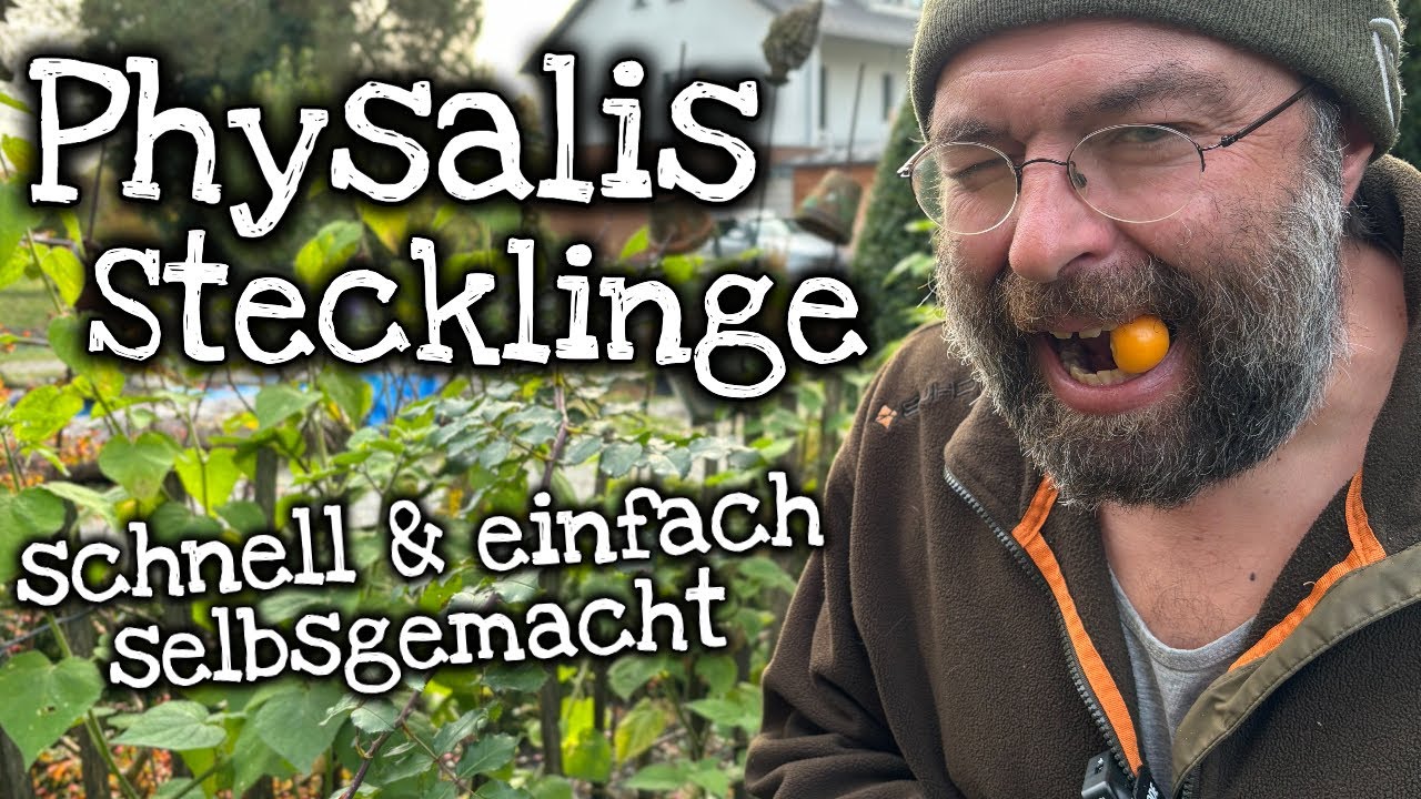 Physalis Stecklinge: So schneidest du sie richtig!
