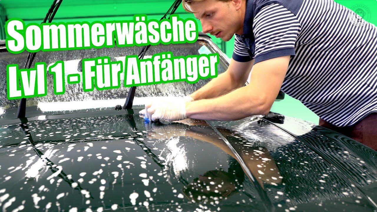 Auto waschen im Sommer | Insekten, Pollen & Harz entfernen | Aston Martin Volante | Anleitung DIY
