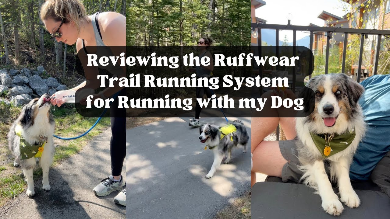 Стоит ли использовать систему Ruffwear Trail Running System для пробежек с собакой?