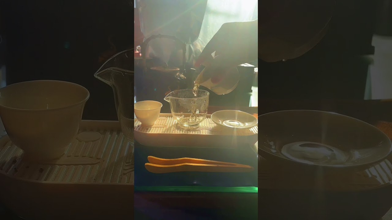 Backlit Magic·Sunlit gaiwan pour ✨ 🍵