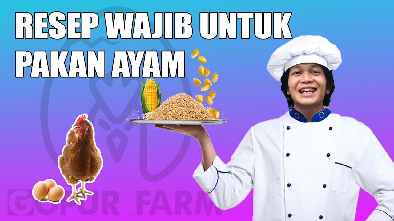 KOMPOSISI Pakan AYAM PETELUR semi SELF MIXING