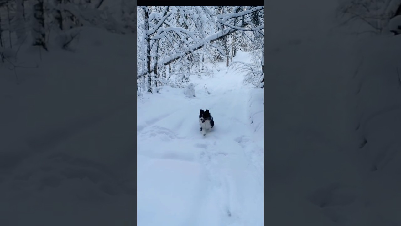 Winter doesn't have to be gloomy (if you do this)❄️ 