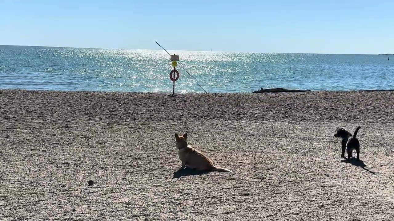 Canada - Beautiful Beaches in Toronto