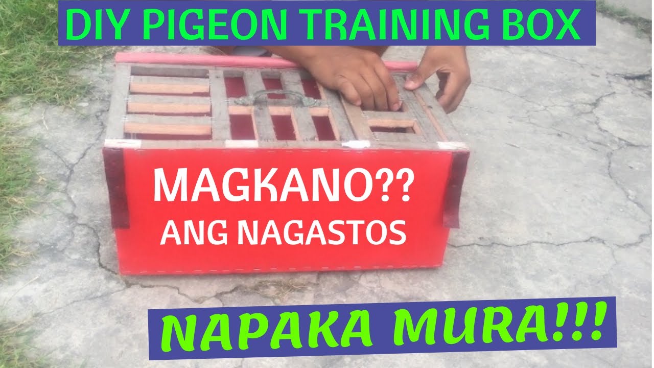 MAGKANO DIY TRAINING BOX