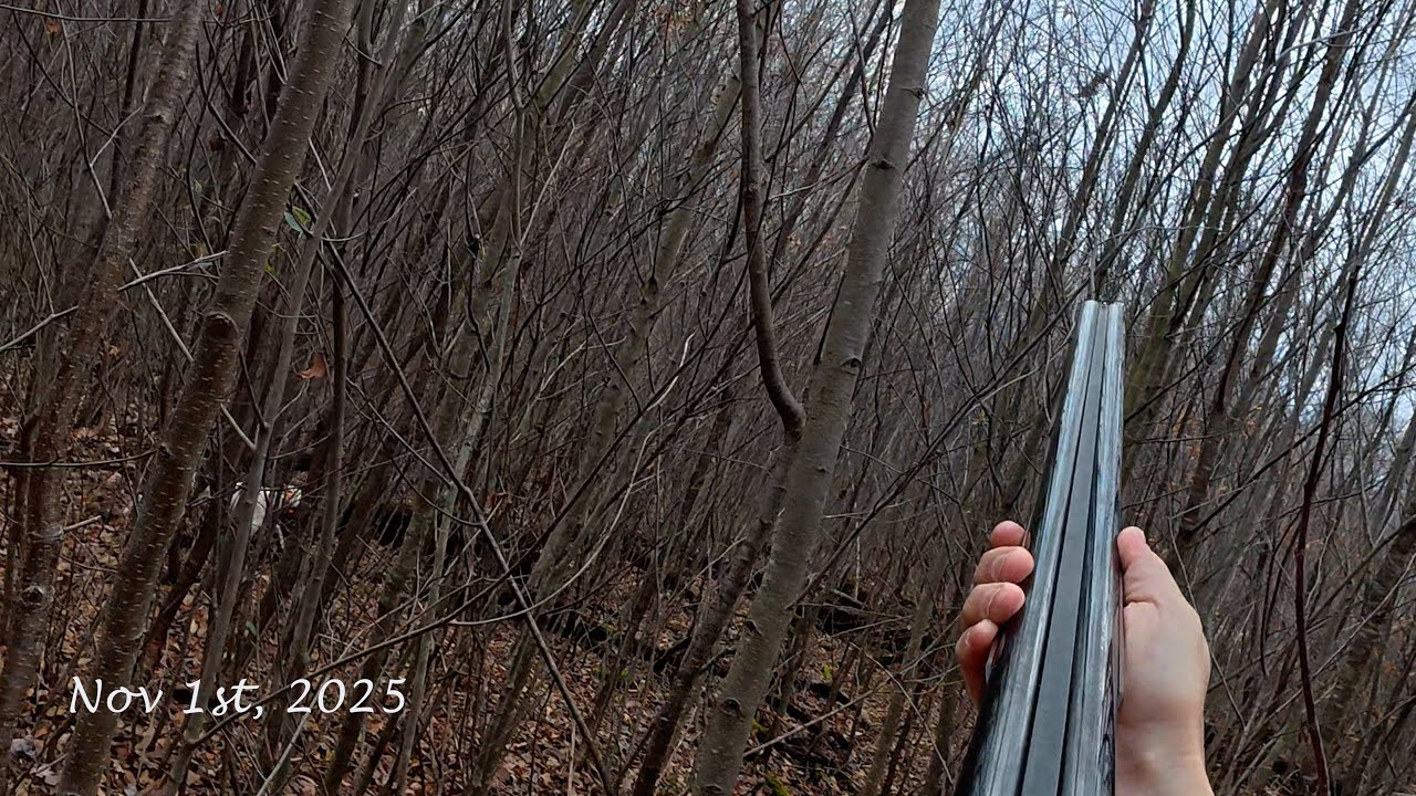 Success in the PA Grouse Woods!