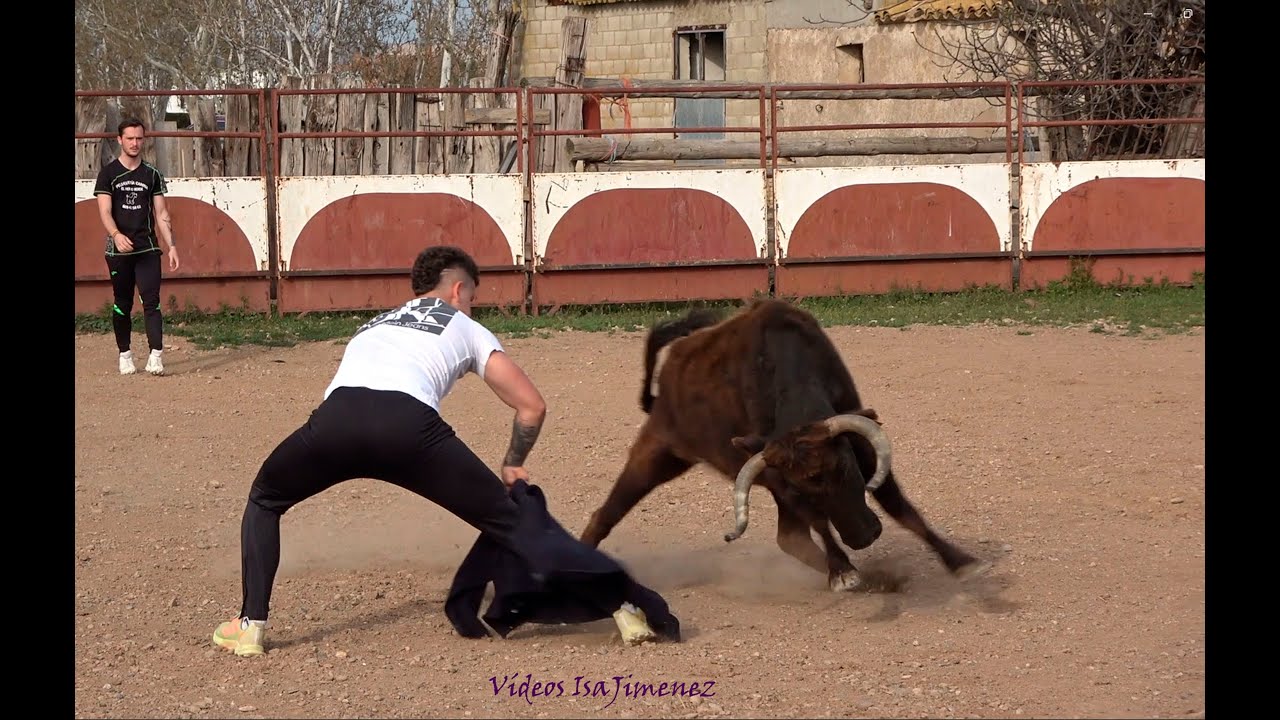 Un ratico de vacas - Ganadería Faure - 21/03/2024 - HD