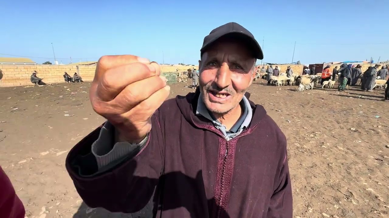 سوق الأسبوعي الأربعاء العونات بالتاريخ 18/03/2026 أجي تعرفوا معانا ثمن 🐏❤️🫡