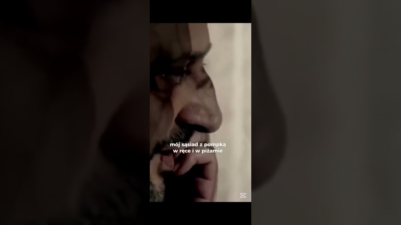 Pitbull Nowe Porządki - Piżama i Gumiaki #vega #pitbull #film