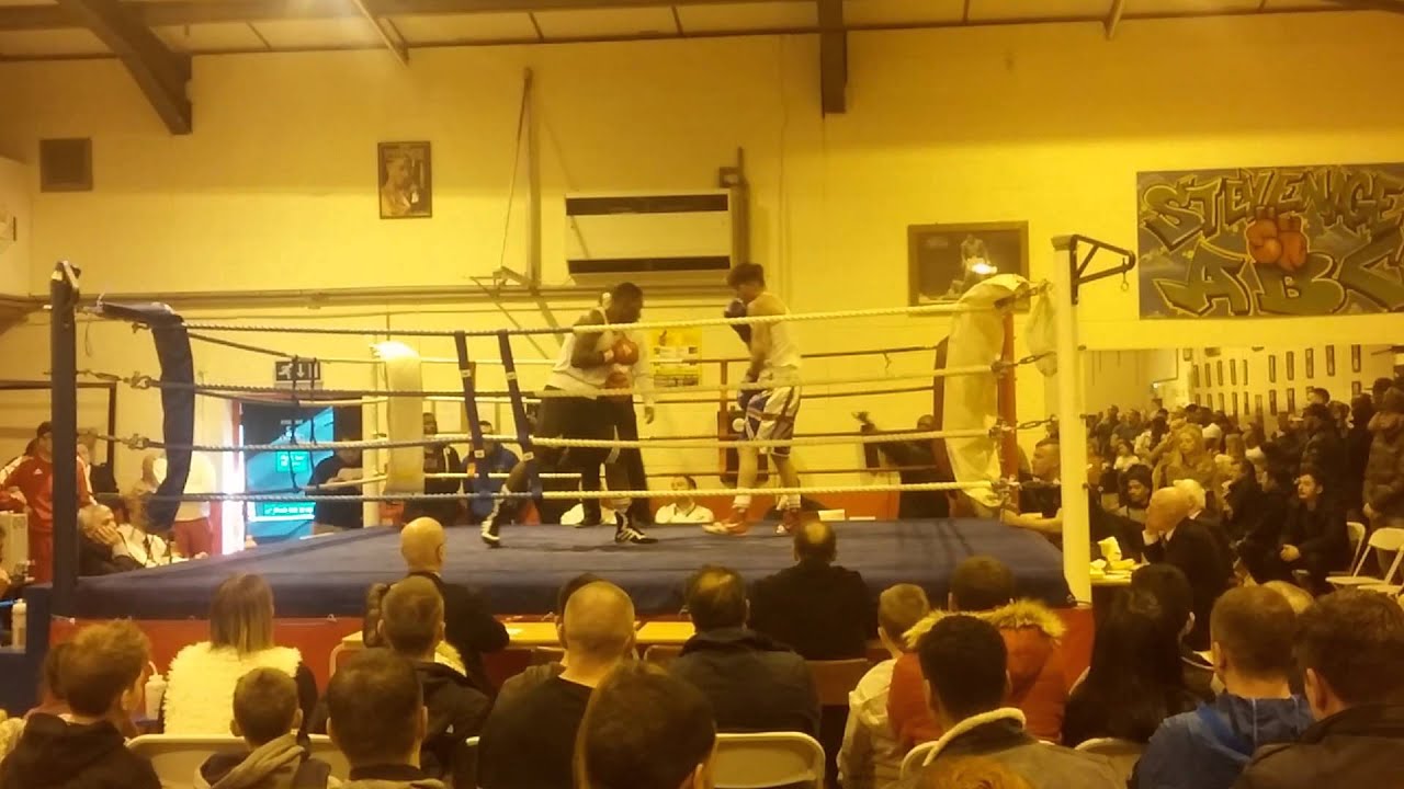Jordan Reynolds Boxing - Senior ABA qualifier