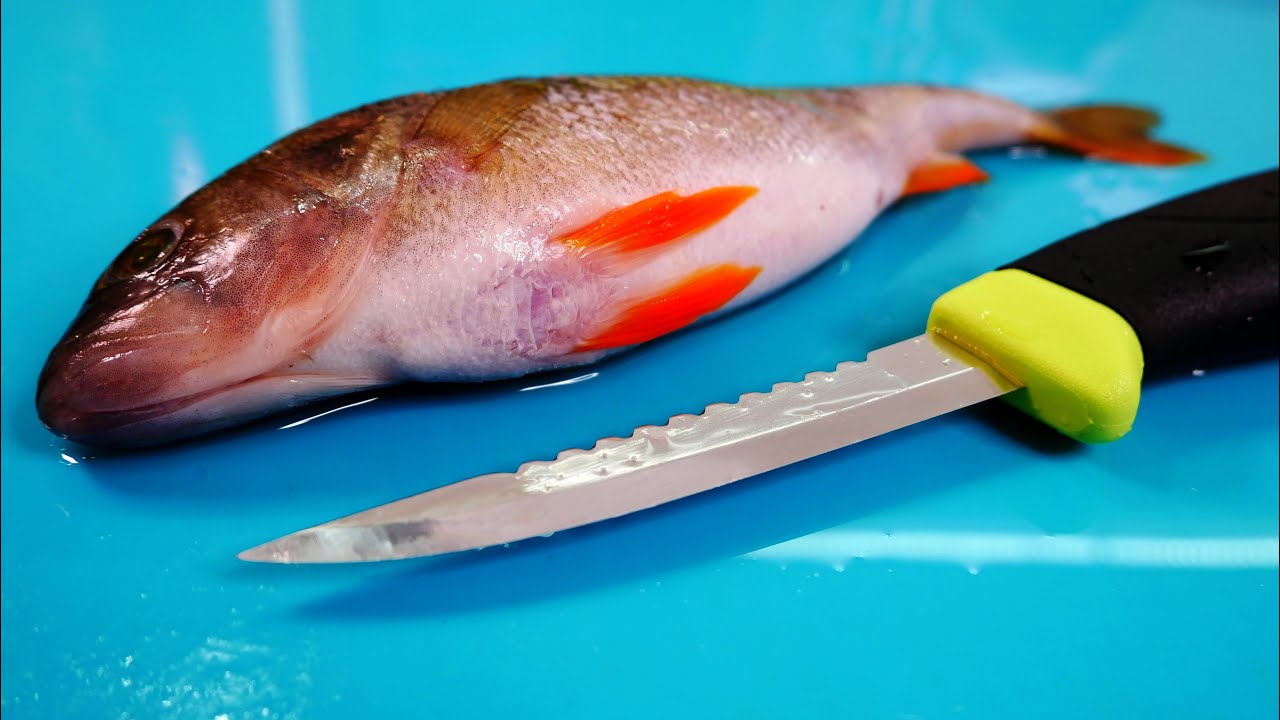 Разделка рыбы в УДОВОЛЬСТВИЕ!? Нож Morakniv Fishing Comfort Scaler 098!