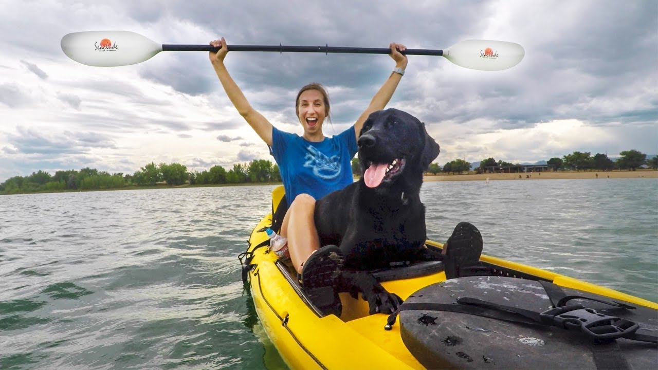 Train Your Dog To Kayak