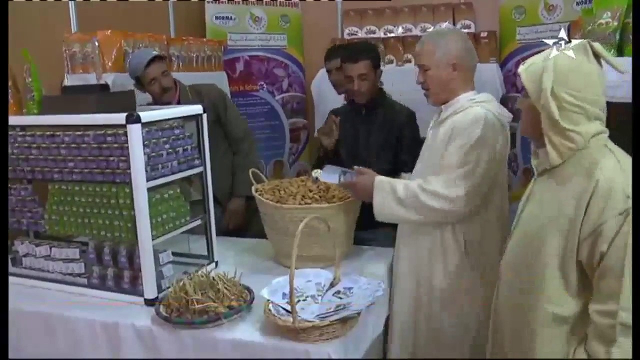 المهرجان الدولي للزعفران بتالوين